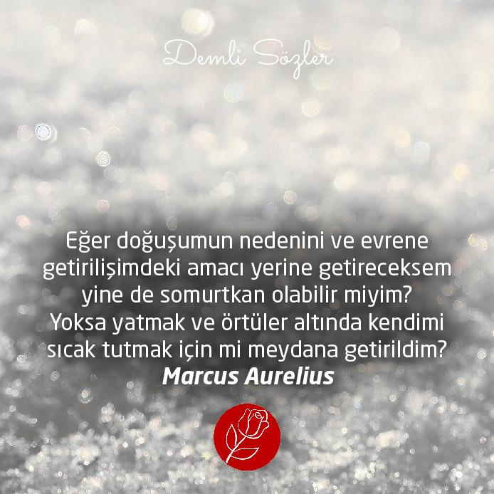 Eğer doğuşumun nedenini ve evrene getirilişimdeki amacı yerine getireceksem yine de somurtkan olabilir miyim? Yoksa yatmak ve örtüler altında kendimi sıcak tutmak için mi meydana getirildim?