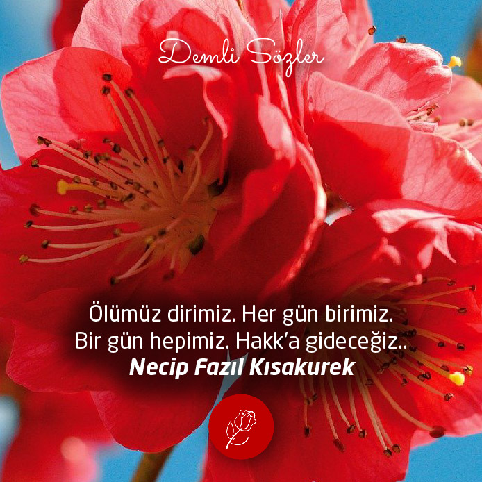 Ölümüz dirimiz. Her gün birimiz. Bir gün hepimiz. Hakk'a gideceğiz..