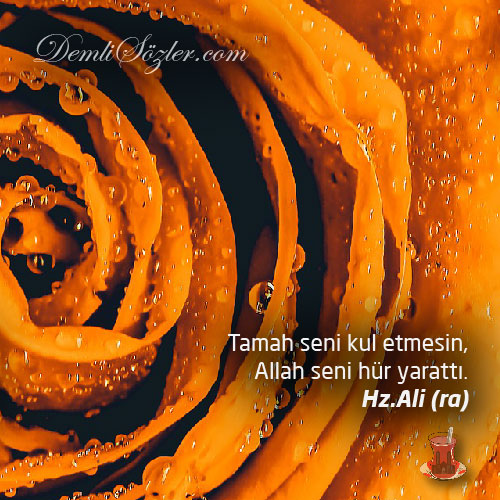Tamah seni kul etmesin, Allah seni hür yarattı.
