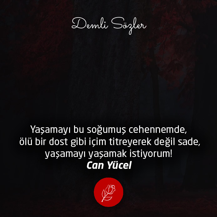 Yaşamayı bu soğumuş cehennemde, ölü bir dost gibi içim titreyerek değil sade, yaşamayı yaşamak istiyorum!