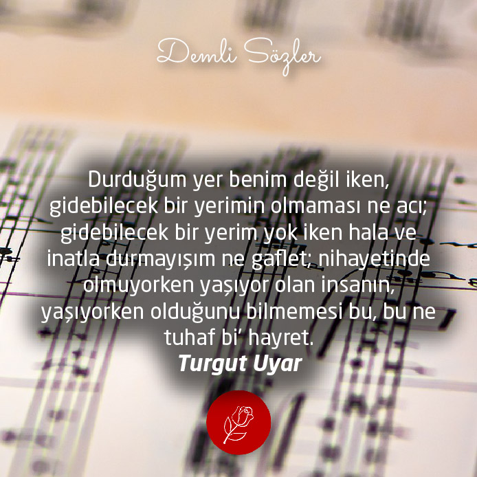 Durduğum yer benim değil iken, gidebilecek bir yerimin olmaması ne acı; gidebilecek bir yerim yok iken hala ve inatla durmayışım ne gaflet; nihayetinde olmuyorken yaşıyor olan insanın, yaşıyorken olduğunu bilmemesi bu, bu ne tuhaf bi' hayret.