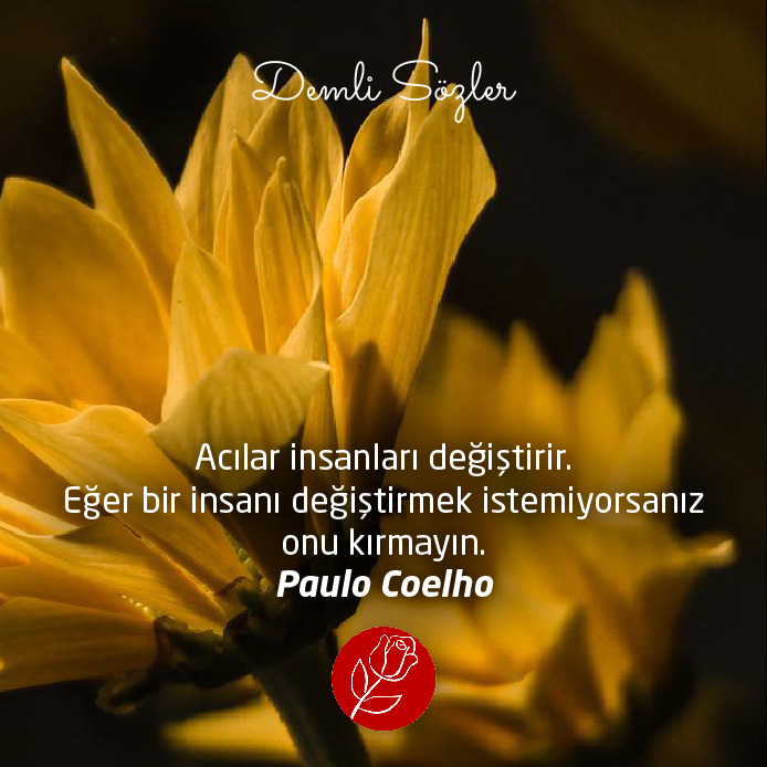 Acılar insanları değiştirir. Eğer bir insanı değiştirmek istemiyorsanız onu kırmayın. - Paulo Coelho