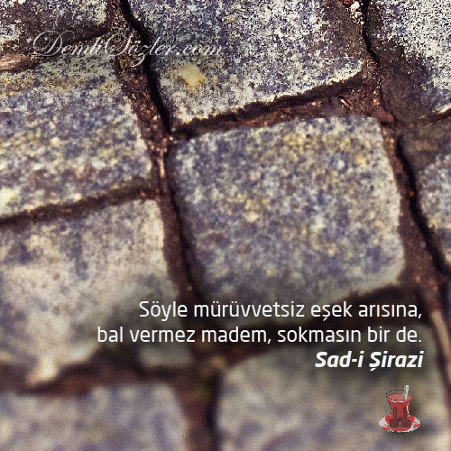 Söyle mürüvvetsiz eşek arısına, bal vermez madem, sokmasın bir de.