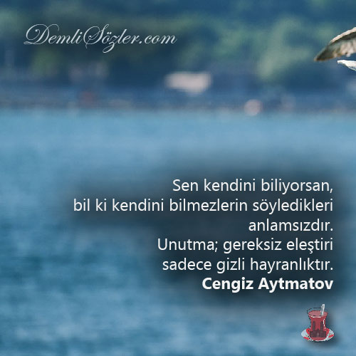 Sen kendini biliyorsan, bil ki kendini bilmezlerin söyledikleri anlamsızdır. Unutma; gereksiz eleştiri sadece gizli hayranlıktır.