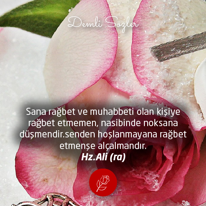 Sana rağbet ve muhabbeti olan kişiye rağbet etmemen, nasibinde noksana düşmendir.senden hoşlanmayana rağbet etmenşe alçalmandır.