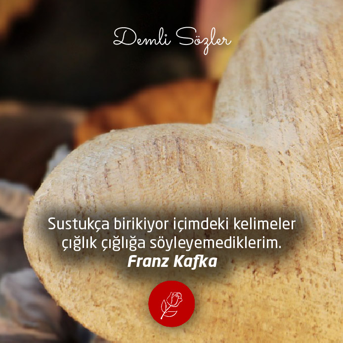 Sustukça birikiyor içimdeki kelimeler çığlık çığlığa söyleyemediklerim.