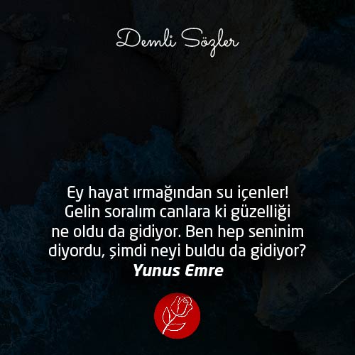 Ey hayat ırmağından su içenler! Gelin soralım canlara ki güzelliği ne oldu da gidiyor. Ben hep seninim diyordu, şimdi neyi buldu da gidiyor?