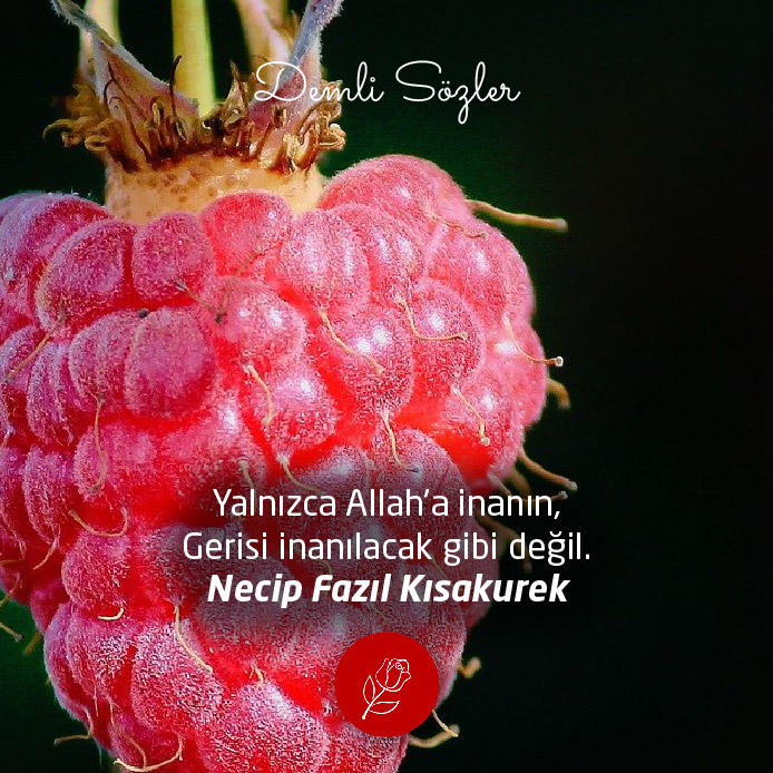 Yalnızca Allah'a inanın, Gerisi inanılacak gibi değil.