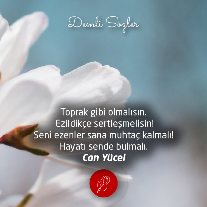 Toprak gibi olmalısın. Ezildikçe sertleşmelisin! Seni ezenler sana muhtaç kalmalı ! Hayatı sende bulmalı.