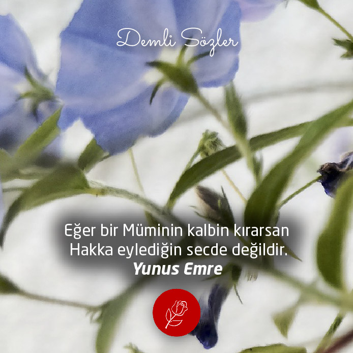 Eğer bir Müminin kalbin kırarsan Hakka eylediğin secde değildir.